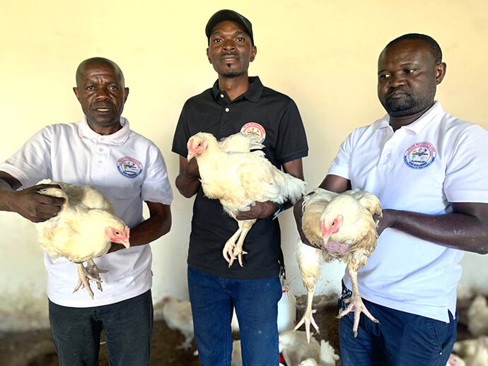 Le pasteur agronome Ndumba Felicien (à gauche), l'ingénieur Sabin Mulang et César Tshibang, secrétaire financier, tiennent des poulets de chair issus du projet d'élevage à Kingandu, au Congo. Le projet, financé par l'initiative agricole Yambasu, vise à stimuler la production avicole afin d'aider les communautés à atteindre l'autosuffisance alimentaire. Photo de Christian Kasweka, UM News.