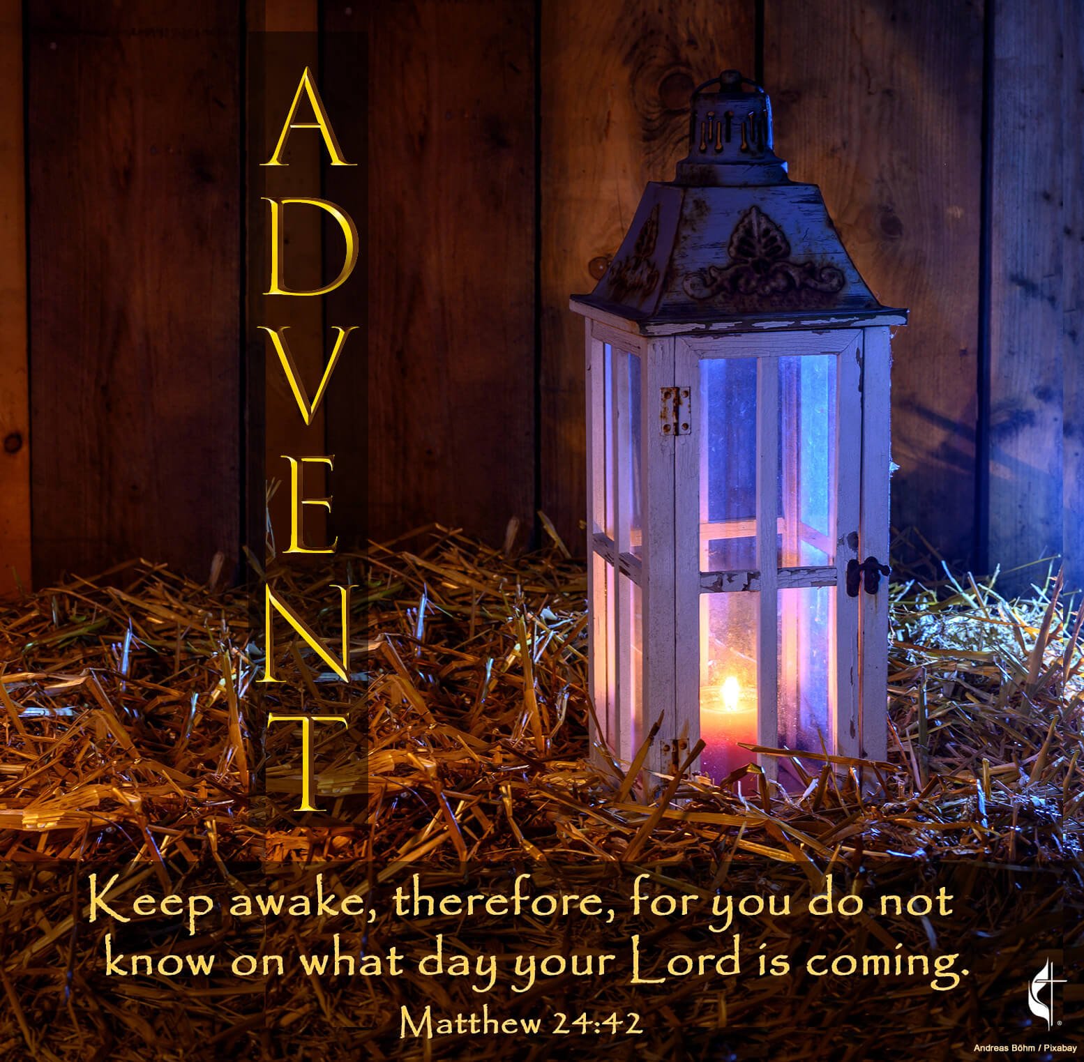 Image by Andreas Böhm, courtesy of Pixabay; graphic by Laurens Glass