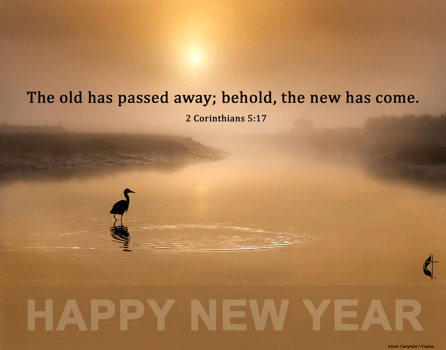 Image by Adrian Campfield, courtesy of Pixabay; graphic by Laurens Glass, UM News