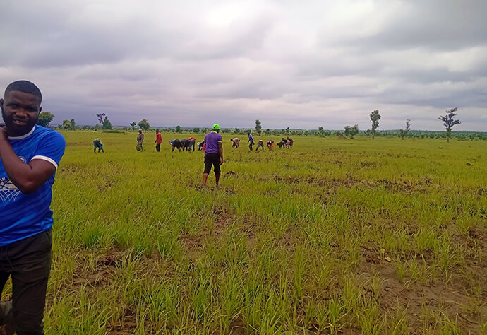 Workers tend to a rice field at a United Methodist Church farm in Nigeria. The farm, in Garin Dogo in Taraba State, is part of a $1.7 million investment in agriculture in the country. The initiative created 280 jobs during the rainy season and is expected to add 220 more workers in the dry season. Photo courtesy of UMCN Communications.