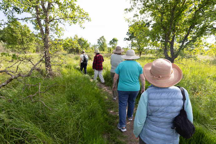 Participants in a Sacred Ground field trip hike through grassland on the Laguna de Santa Rosa trail near Sebastopol, Calif. 