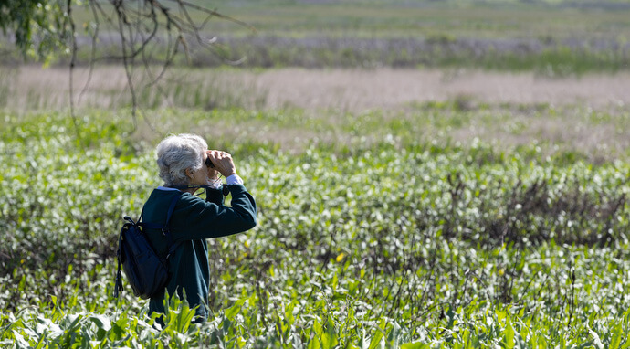 Denise Newkirk scans for wildlife during a Sacred Ground field trip to Tolay Lake Regional Park. 