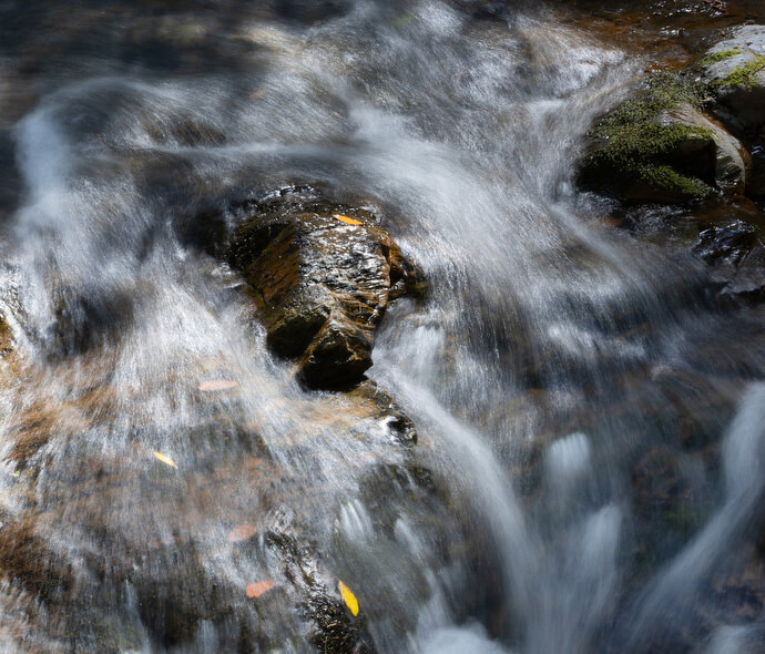 The headwaters of Sonoma Creek run through Sugarloaf Ridge State Park. The park is featured in the Sacred Ground app. 