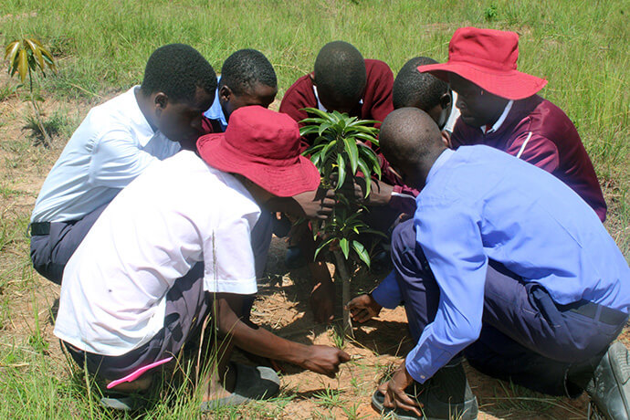 Students pray for a mango tree they planted at The United Methodist Church’s Hanwa Mission Secondary School in Hanwa, Zimbabwe. Photo by Kudzai Chingwe, UM News. 