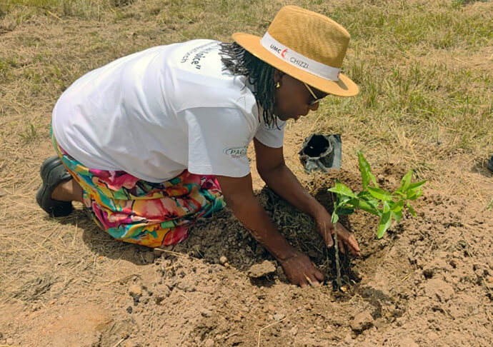 Tendai Rebecca Gurupira, who coordinates United Methodist ministry with women, children and youth in Zimbabwe, plants a tree at the church’s Hanwa Mission. She said the initiative nurtures both the environment and community spirit. Photo by the Rev. Taurai Emmanuel Maforo, UM News.