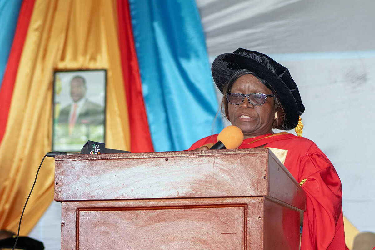 Zimbabwean Woman Dies After Collapsing at Beitbridge Border Post